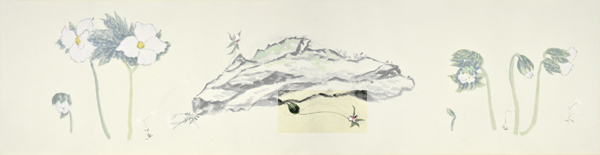 q1-2