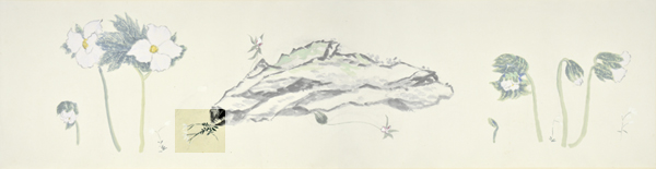 q1-2