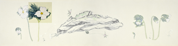 q1-1