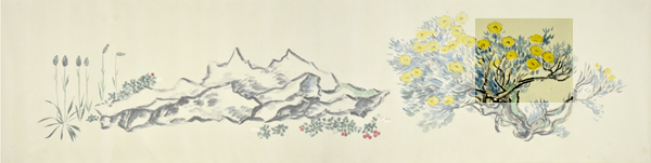 q2-5