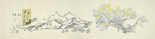 q2-5