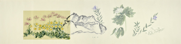 q3-5