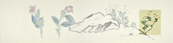 q5-2