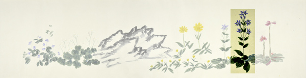 q5-3