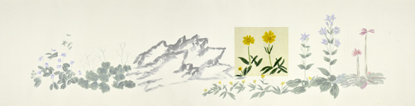 q5-3