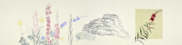 q5-4