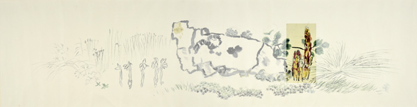 q5-5