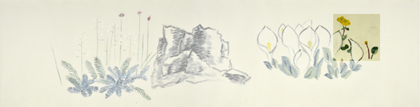 q6-1