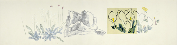 q6-1