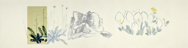 q6-1