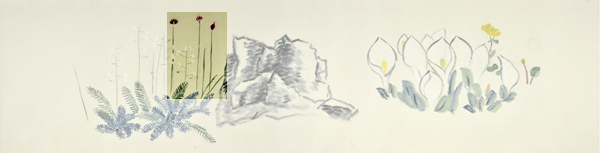 q6-1