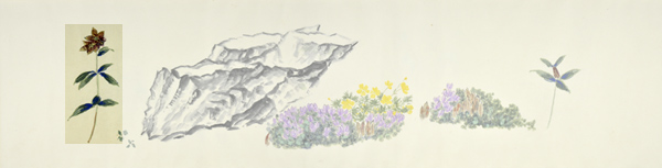 q6-4