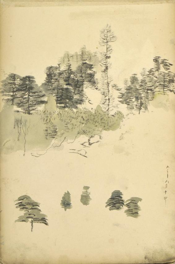 Y01