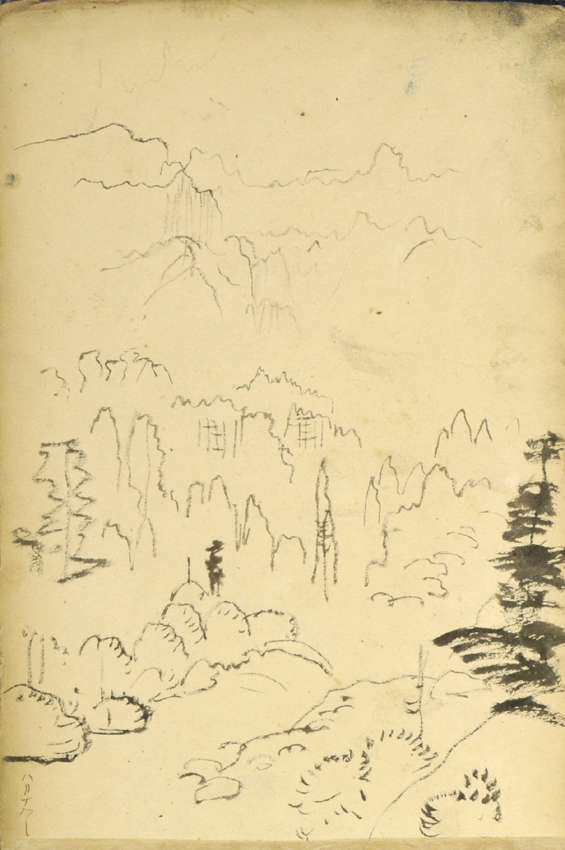 Y01