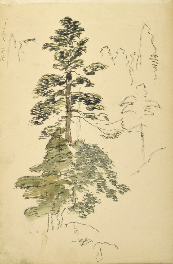 Y01
