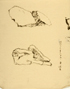 䍂