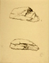 䍂
