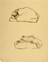 䍂