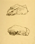 䍂