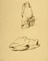 䍂