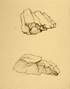 䍂