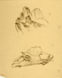 䍂