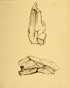 䍂