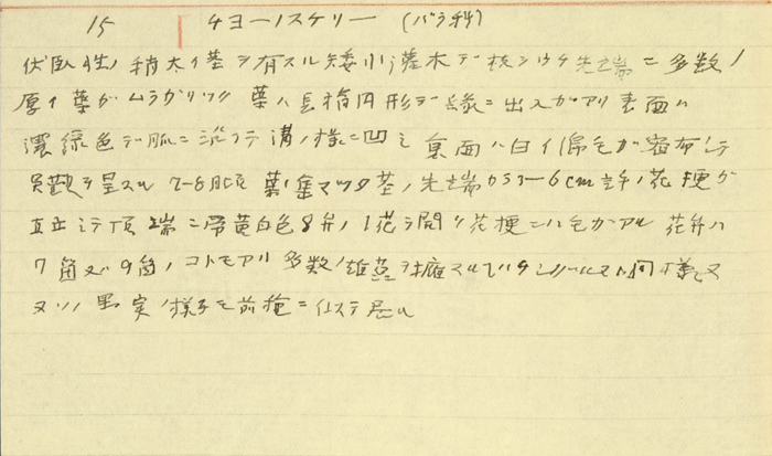`[mXP\[