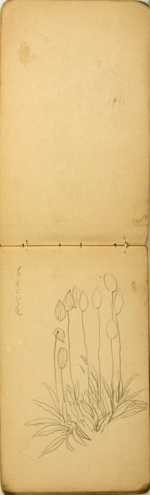 쒠1925_2