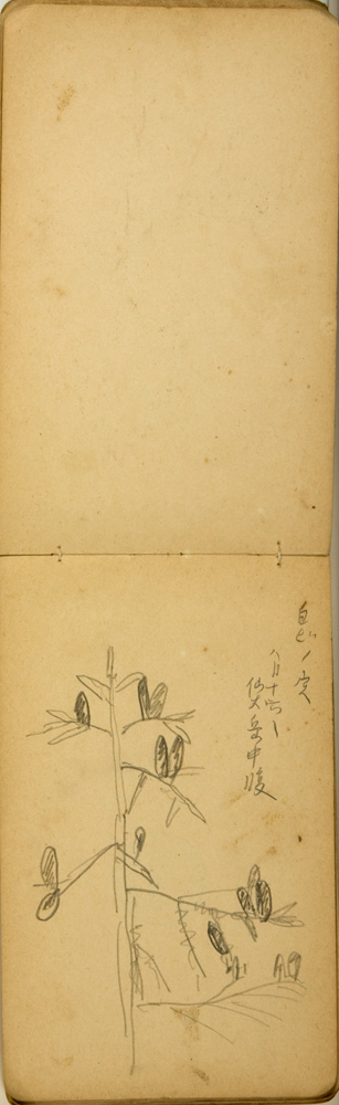 쒠1925_10