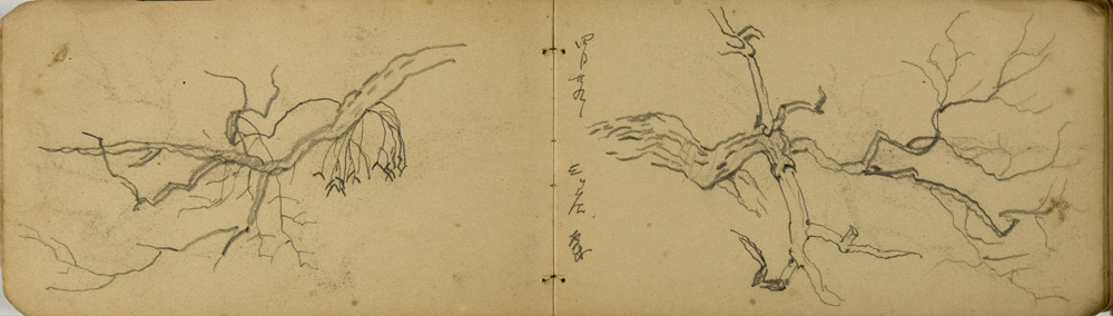 쒠1926_m_7