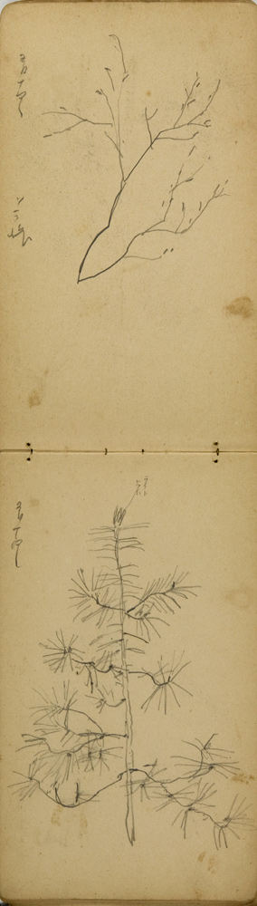 쒠1926_m_24