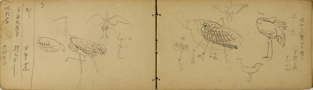 쒠1926_m_34