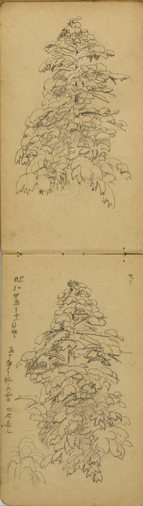 쒠1926_m_77