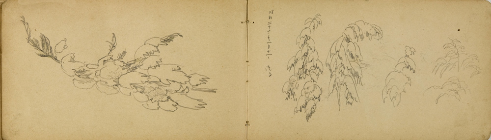 쒠1926_m_79