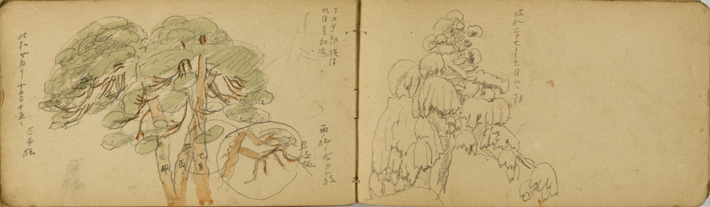쒠1926_m_85