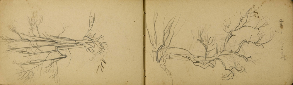 쒠1927_tono_18