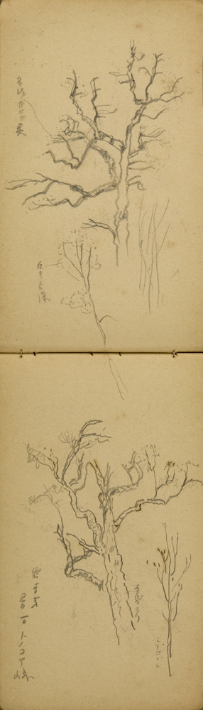 쒠1927_tono_19