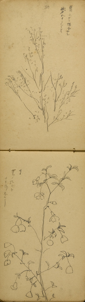 쒠1927_tono_39