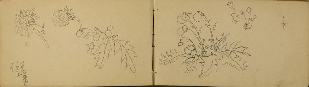 쒠1934_iku_21