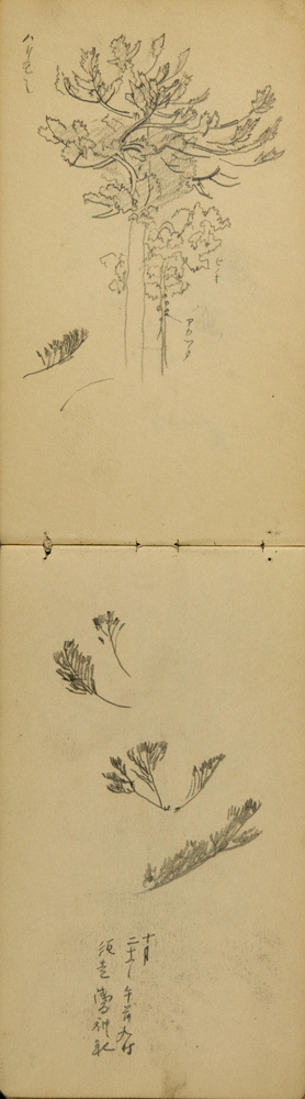 쒠1934_iku_40