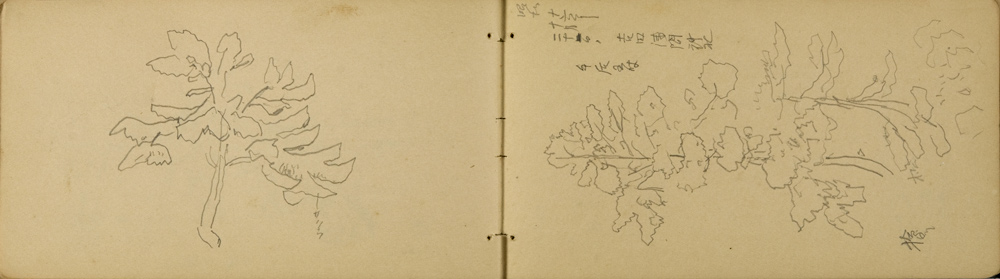쒠1934_iku_68