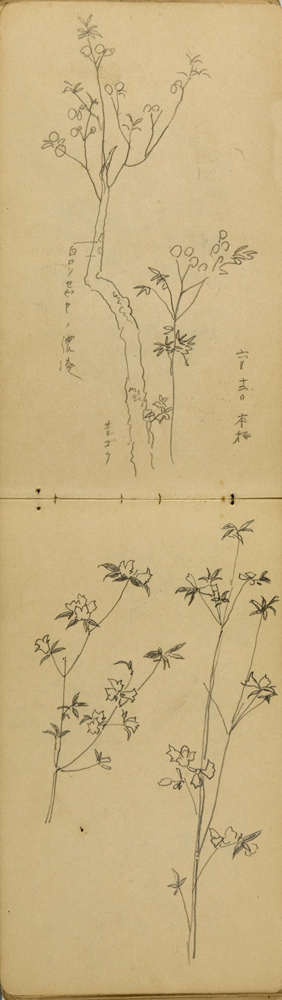 쒠1935a_46