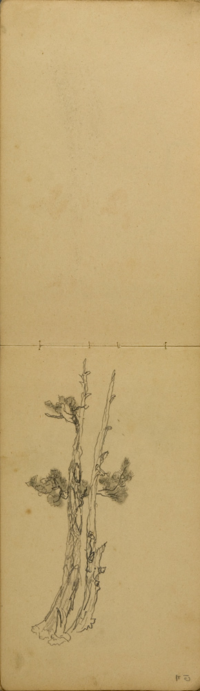 쒠1935_kara_9