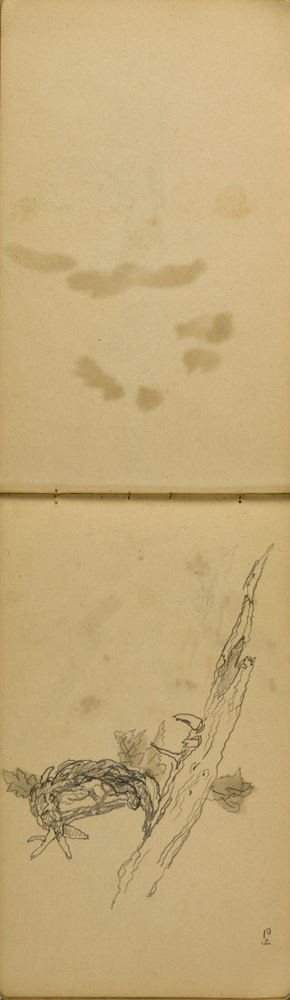 쒠1935_kara_24