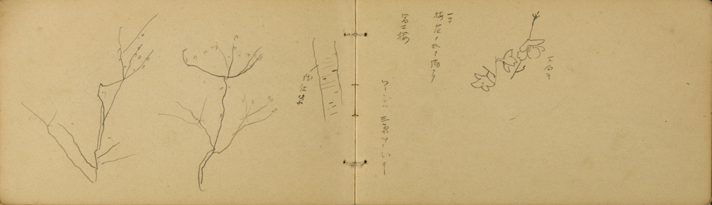 쒠1935_kara_46