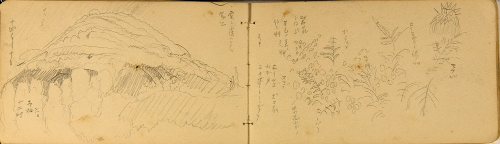 쒠1936_g_45
