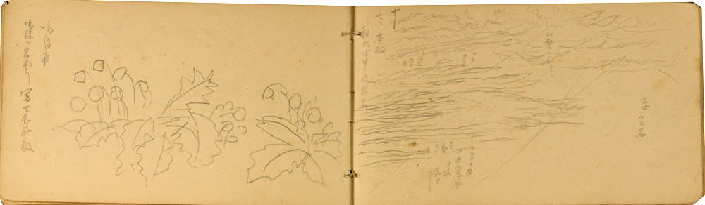 쒠1936_g_48