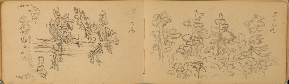 쒠1954_12