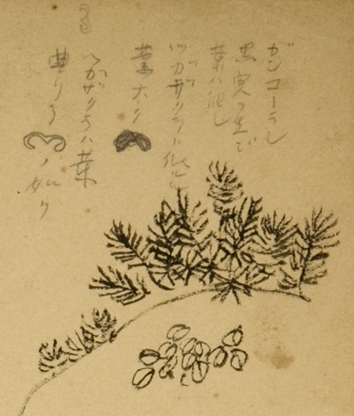 KREƃcKUN